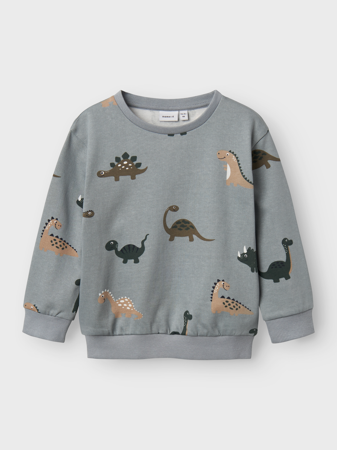 Dino-Sweatshirt